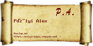 Pályi Alex névjegykártya