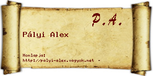 Pályi Alex névjegykártya